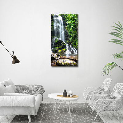 Tableau photo sur toile Cascade dans la jungle