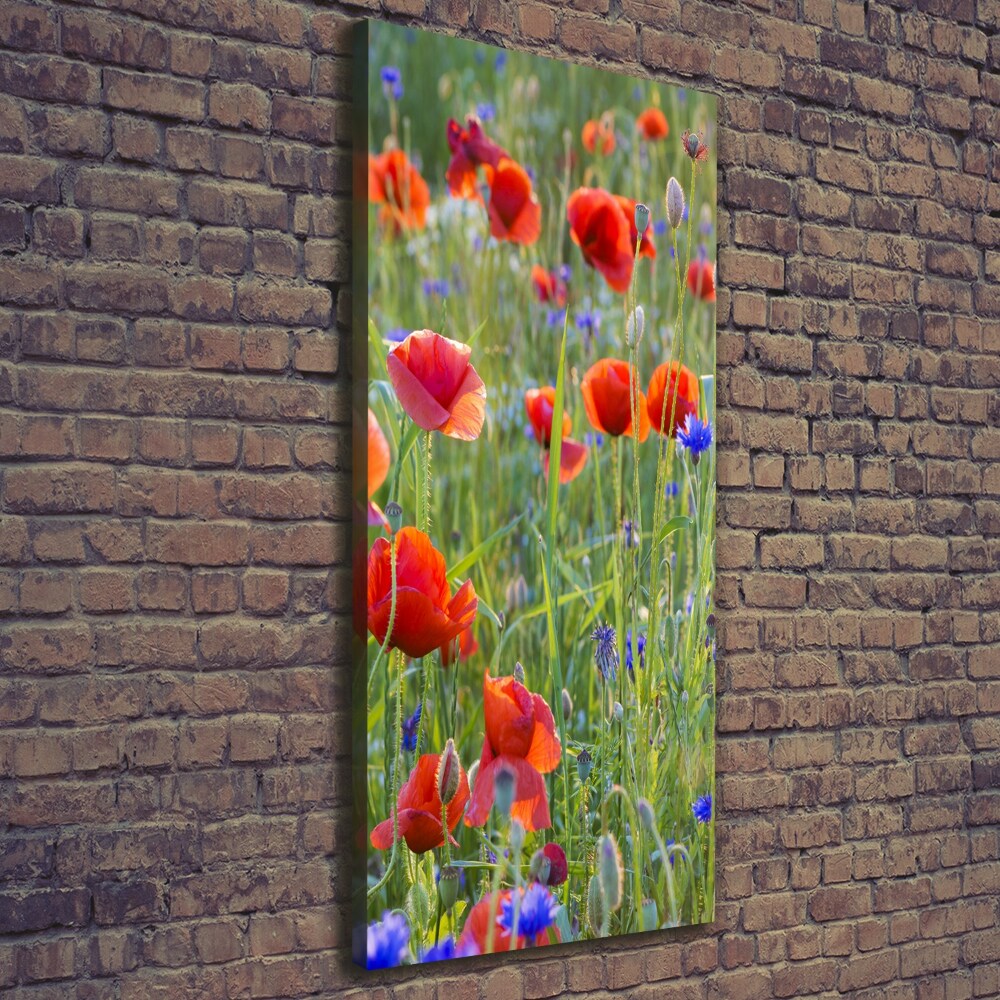 Tableau mural sur toile Fleurs de coquelicots rouges