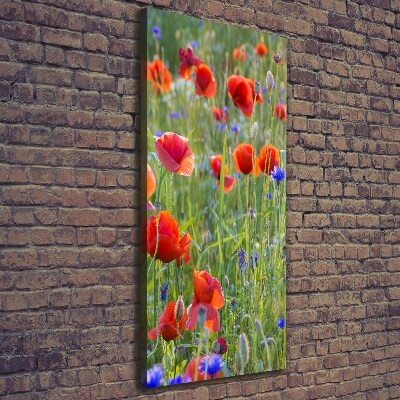 Tableau mural sur toile Fleurs de coquelicots rouges