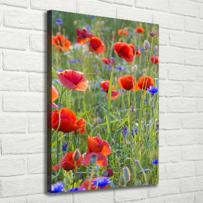 Tableau mural sur toile Fleurs de coquelicots rouges