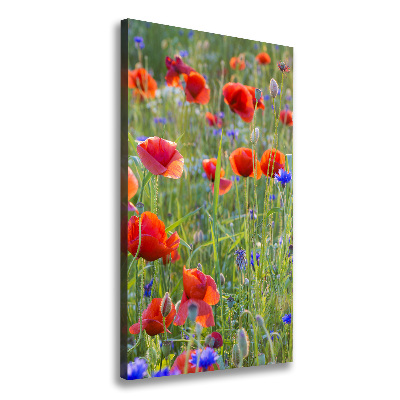 Tableau mural sur toile Fleurs de coquelicots rouges