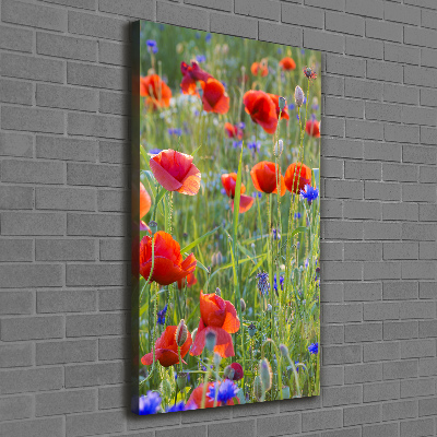 Tableau mural sur toile Fleurs de coquelicots rouges