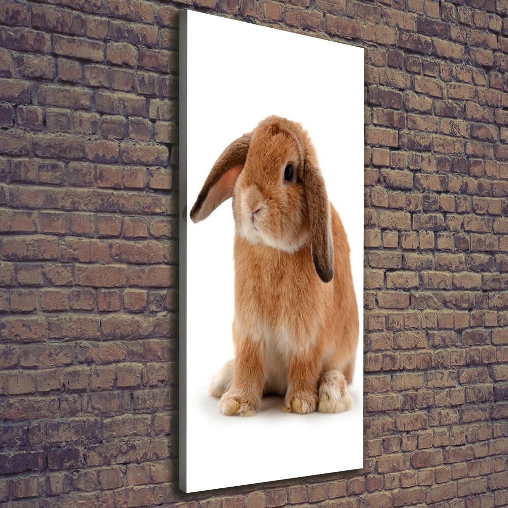 Tableau toile imprimée Lapin