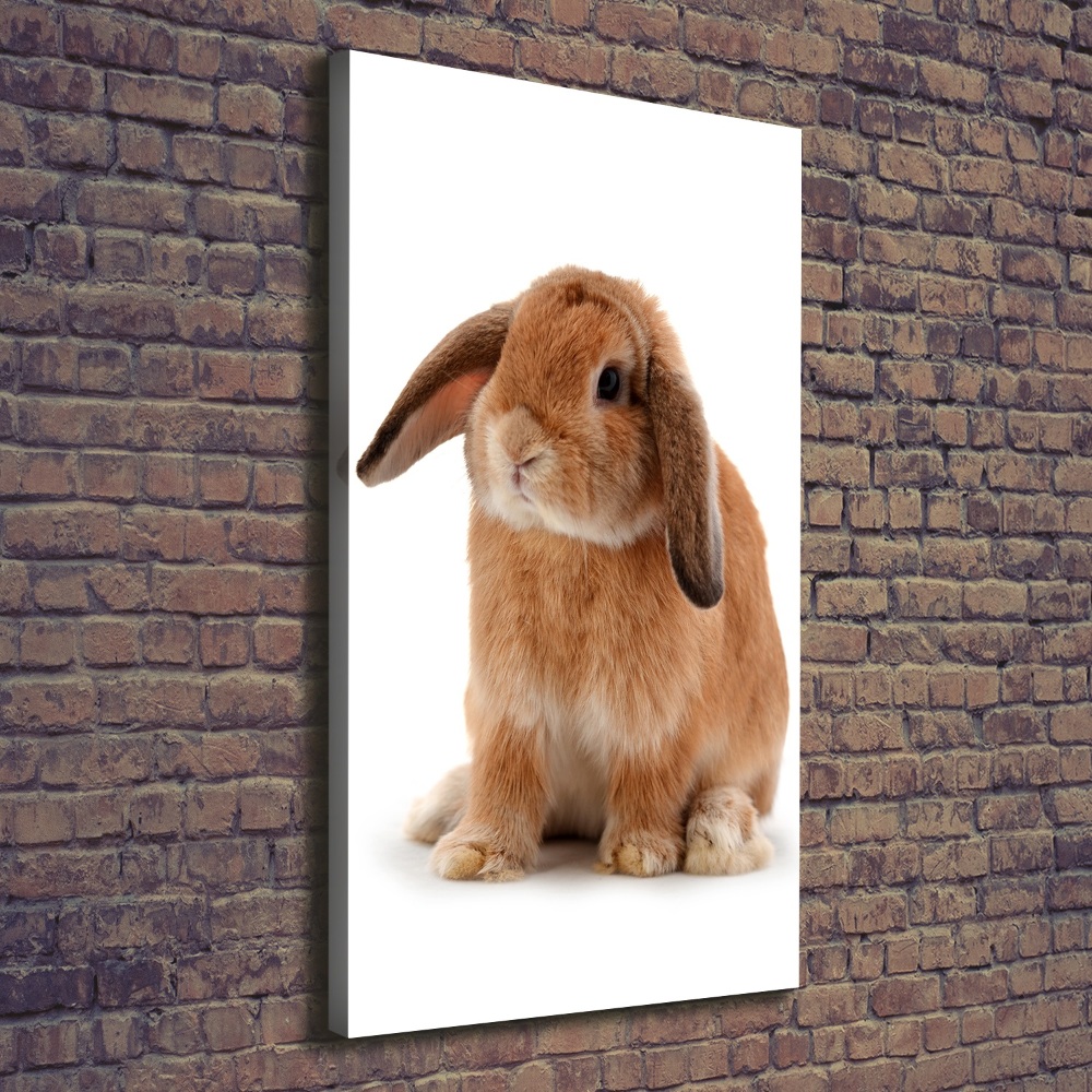 Tableau toile imprimée Lapin