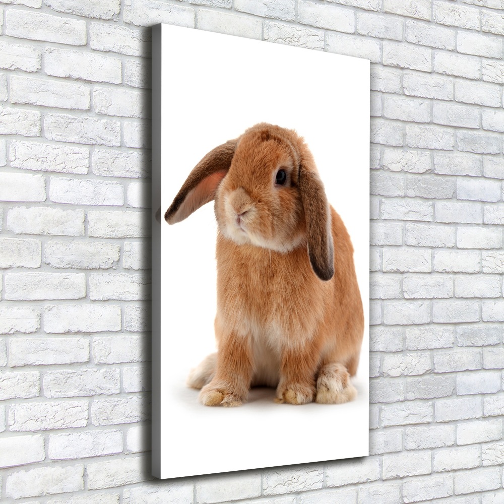 Tableau toile imprimée Lapin