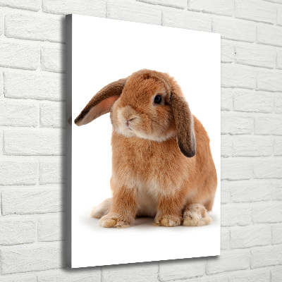 Tableau toile imprimée Lapin