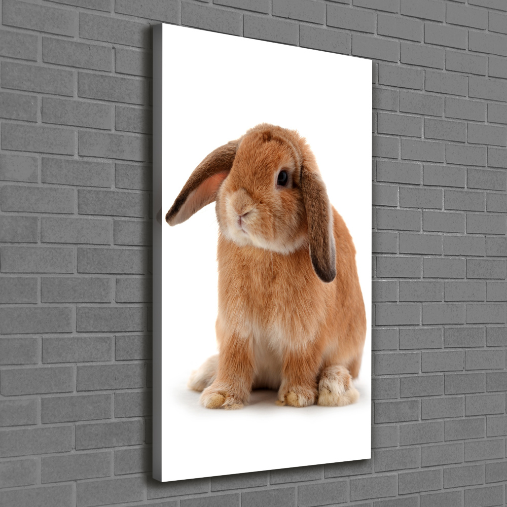 Tableau toile imprimée Lapin