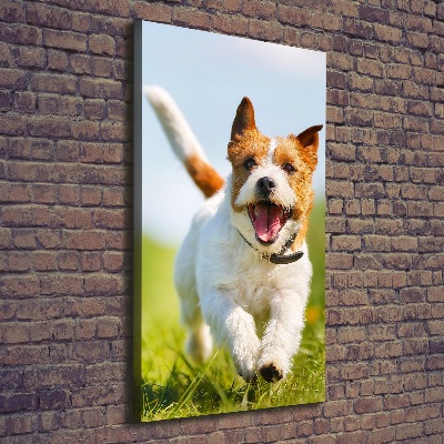 Tableau imprimé sur toile Chien Jack Russell