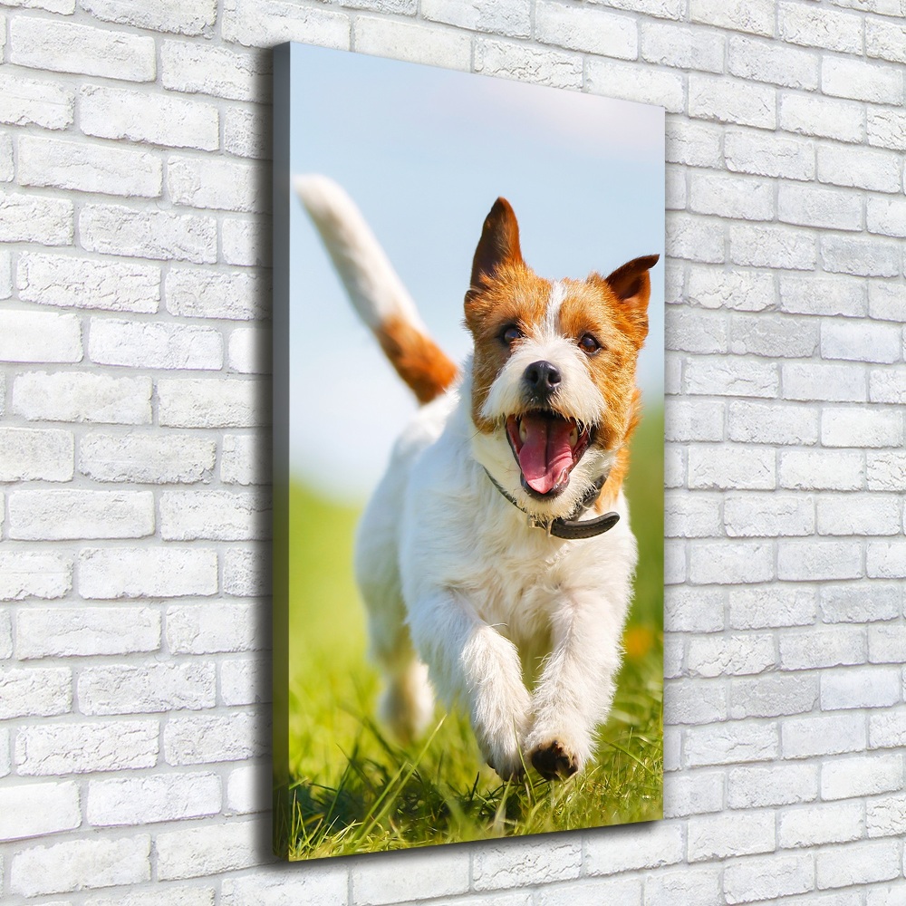 Tableau imprimé sur toile Chien Jack Russell