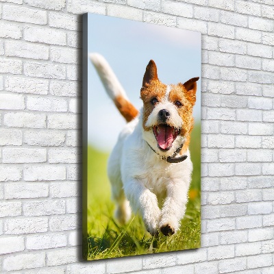 Tableau imprimé sur toile Chien Jack Russell