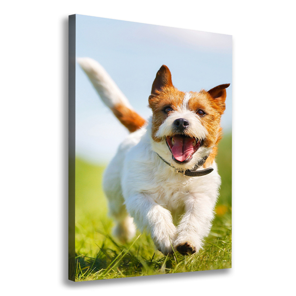 Tableau imprimé sur toile Chien Jack Russell