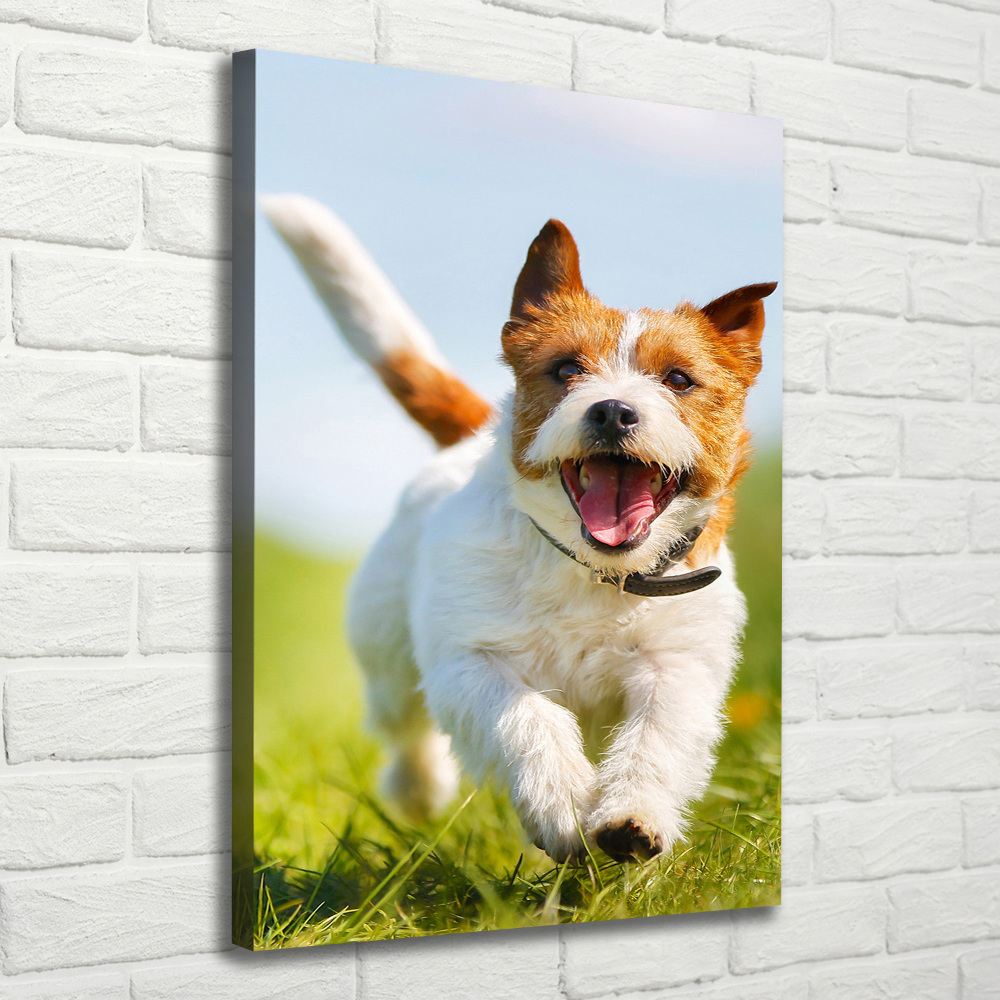 Tableau imprimé sur toile Chien Jack Russell