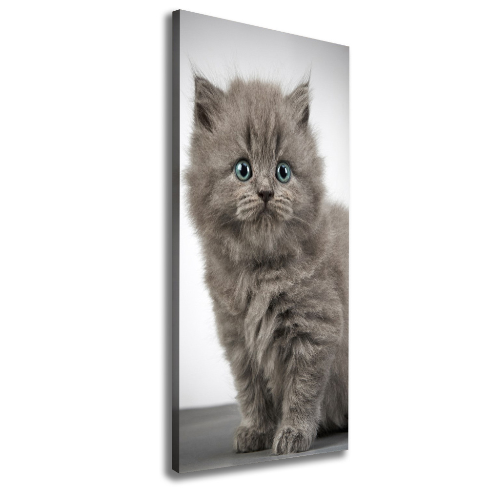 Tableau mural sur toile Chat gris britannique