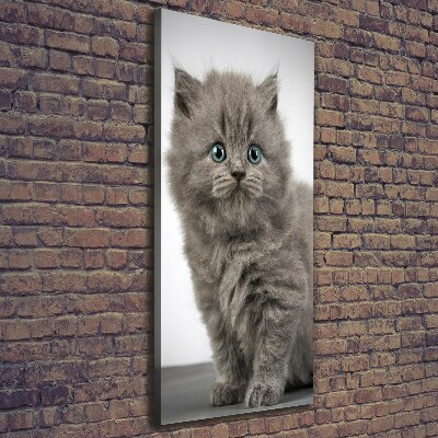 Tableau mural sur toile Chat gris britannique