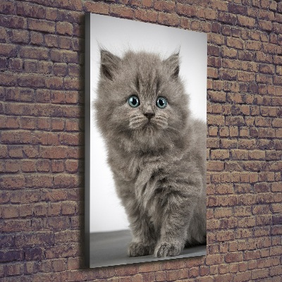 Tableau mural sur toile Chat gris britannique