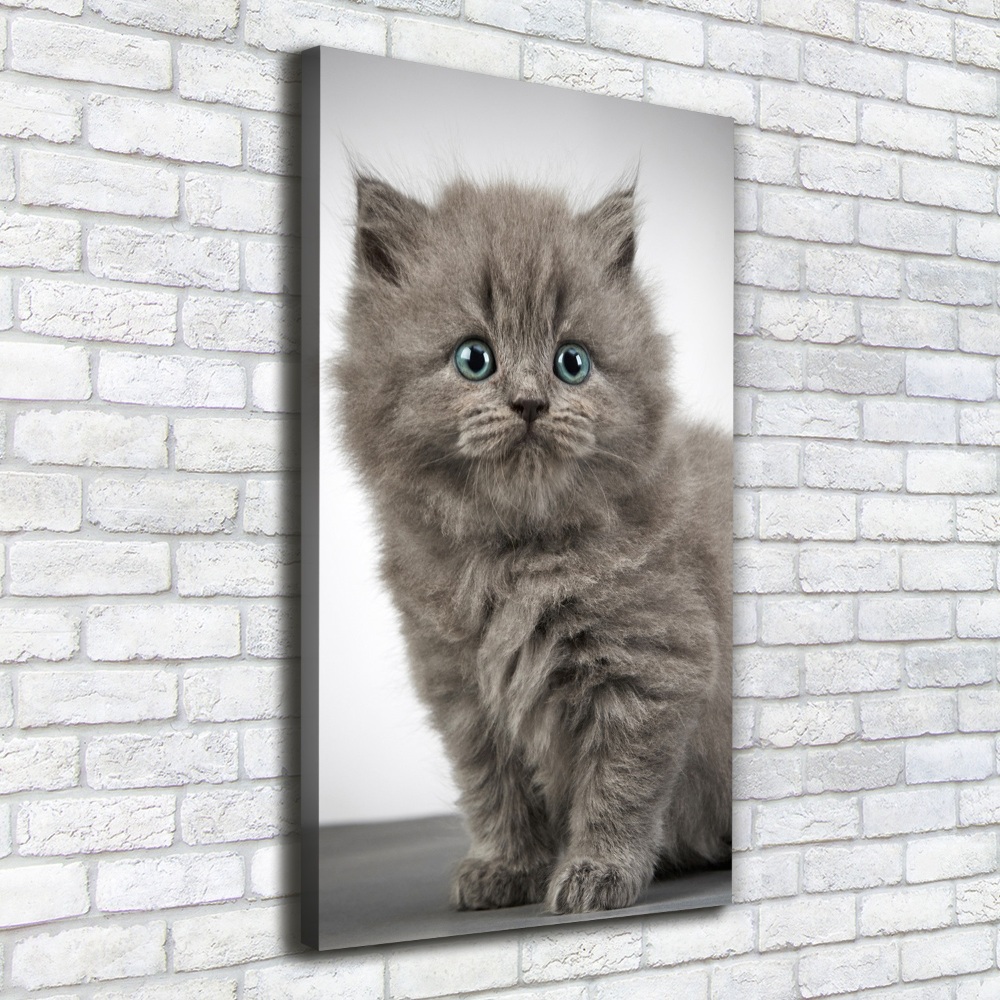 Tableau mural sur toile Chat gris britannique