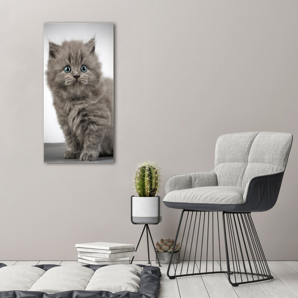 Tableau mural sur toile Chat gris britannique