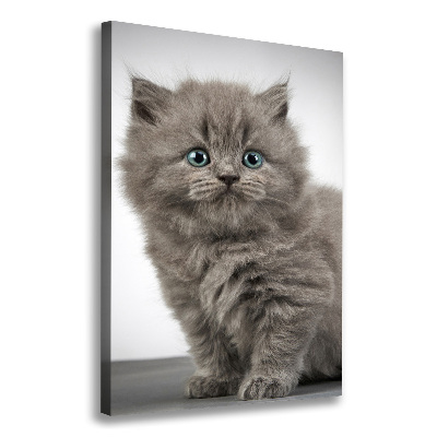 Tableau mural sur toile Chat gris britannique