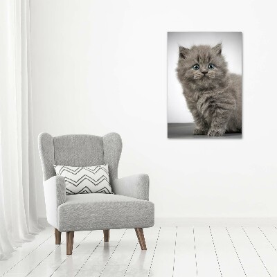 Tableau mural sur toile Chat gris britannique