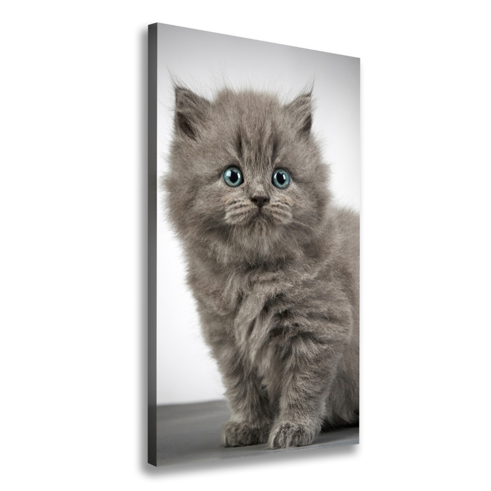 Tableau mural sur toile Chat gris britannique