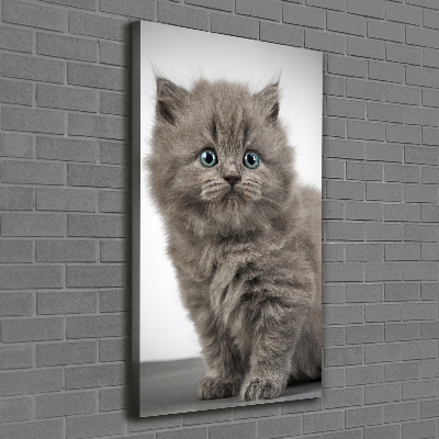 Tableau mural sur toile Chat gris britannique