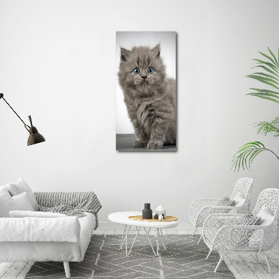 Tableau mural sur toile Chat gris britannique