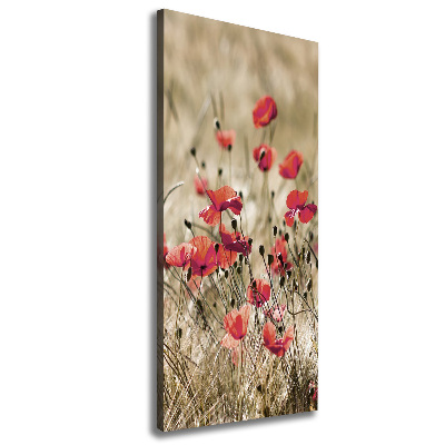 Tableau photo sur toile Fleurs des champs coquelicots rouges