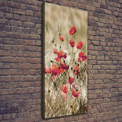 Tableau photo sur toile Fleurs des champs coquelicots rouges