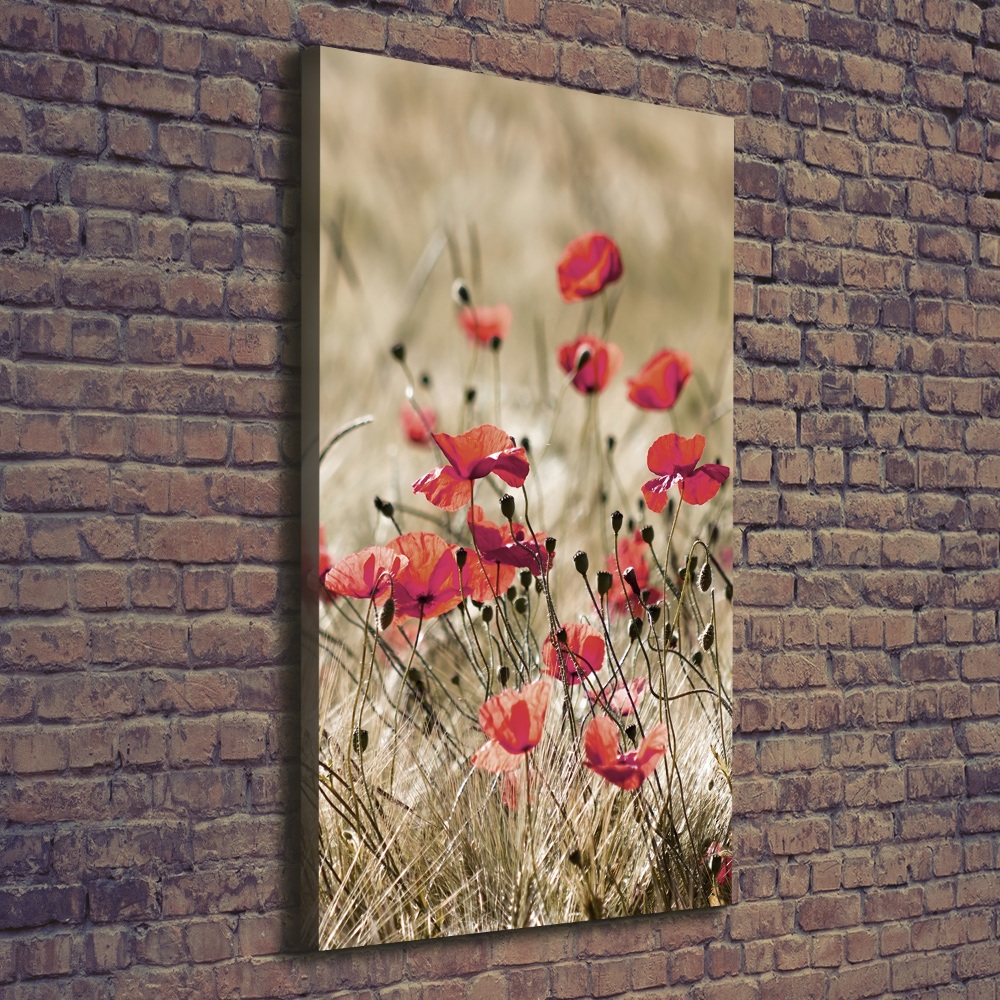 Tableau photo sur toile Fleurs des champs coquelicots rouges