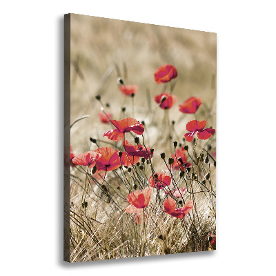 Tableau photo sur toile Fleurs des champs coquelicots rouges