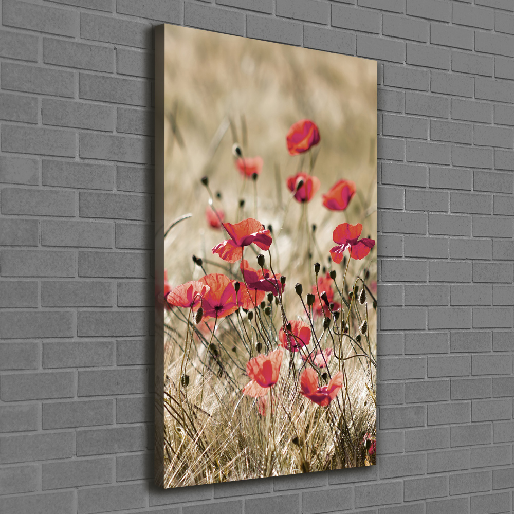 Tableau photo sur toile Fleurs des champs coquelicots rouges