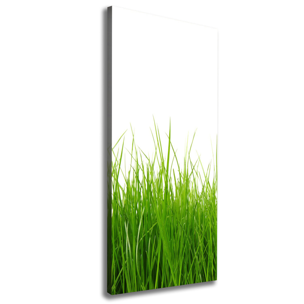 Tableau mural sur toile Herbe verte