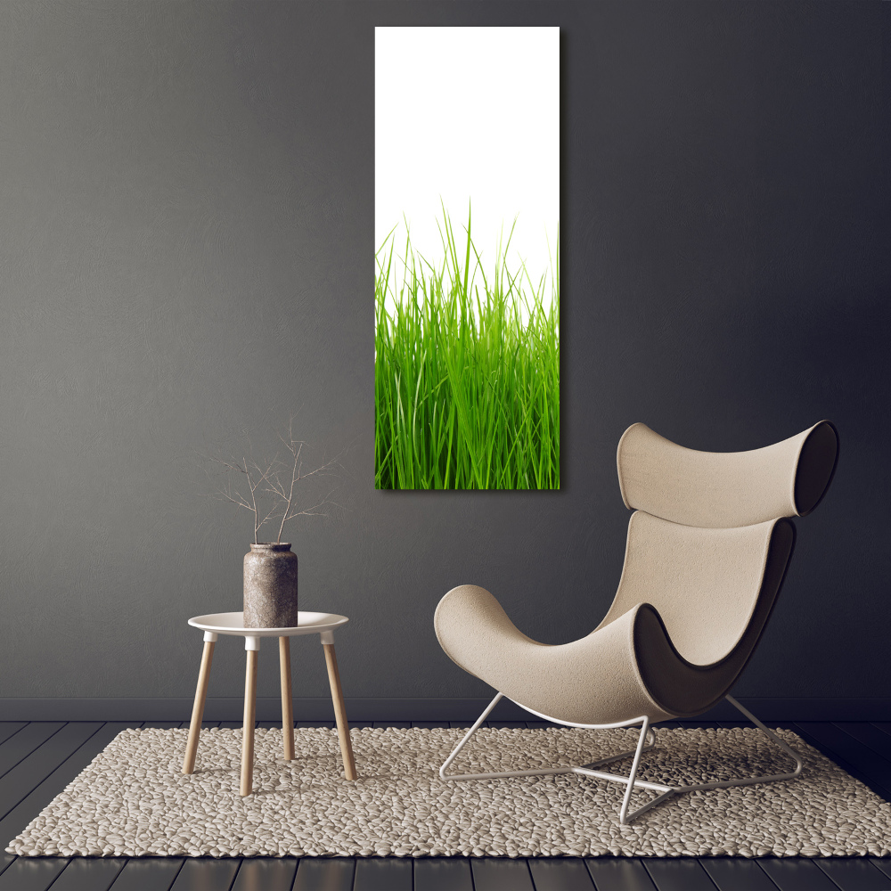 Tableau mural sur toile Herbe verte