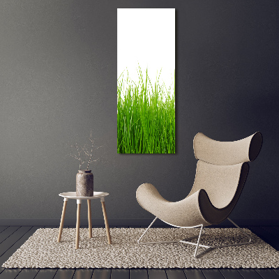 Tableau mural sur toile Herbe verte