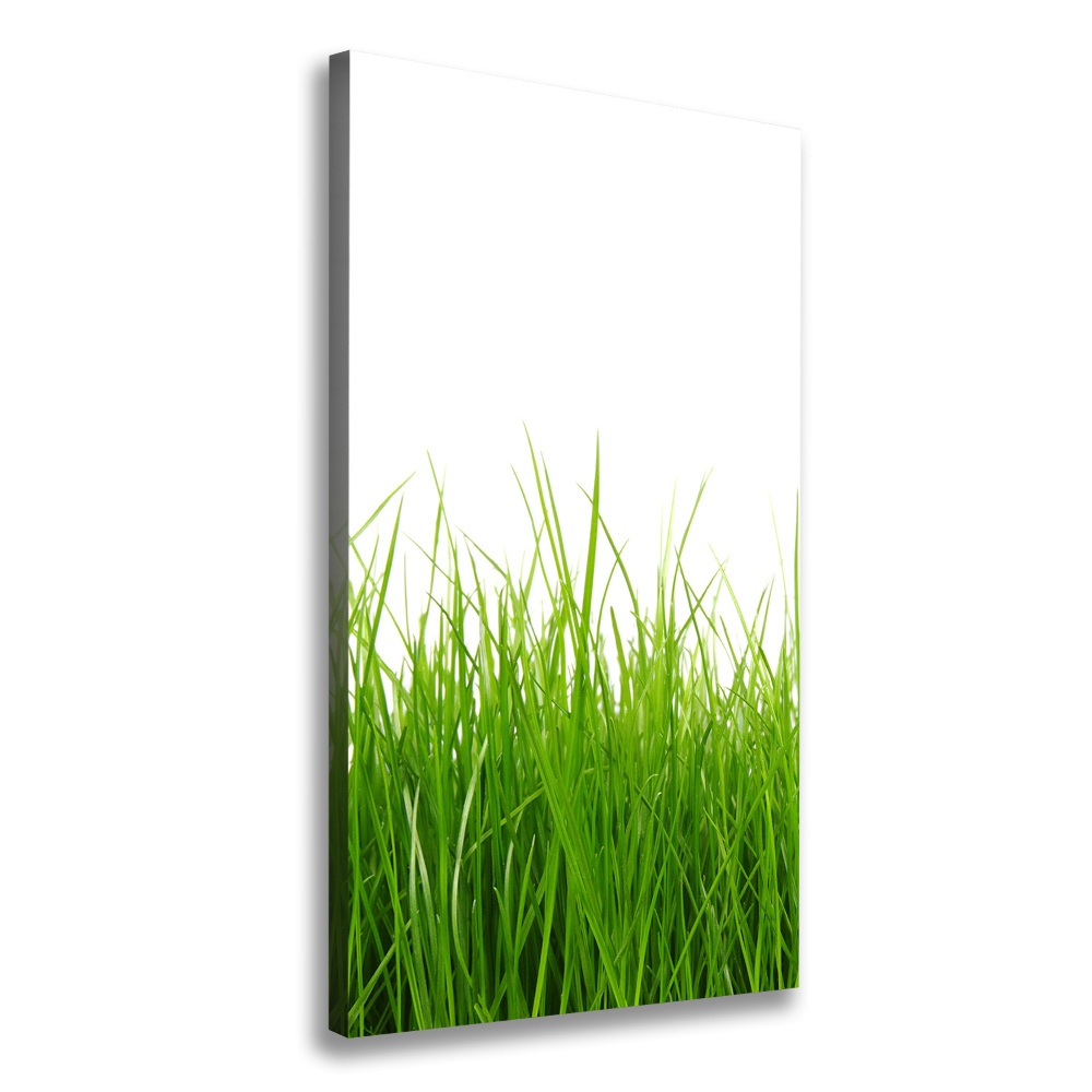 Tableau mural sur toile Herbe verte