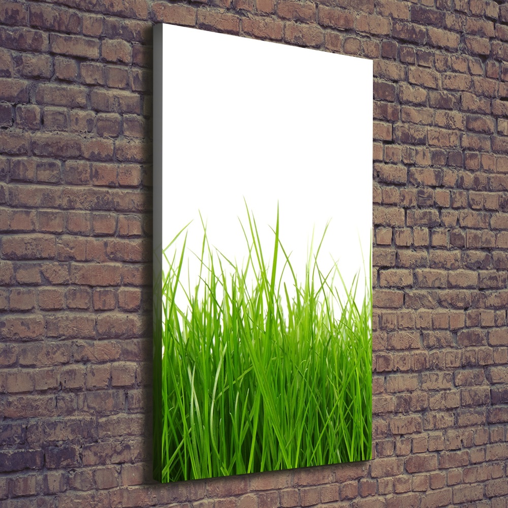 Tableau mural sur toile Herbe verte