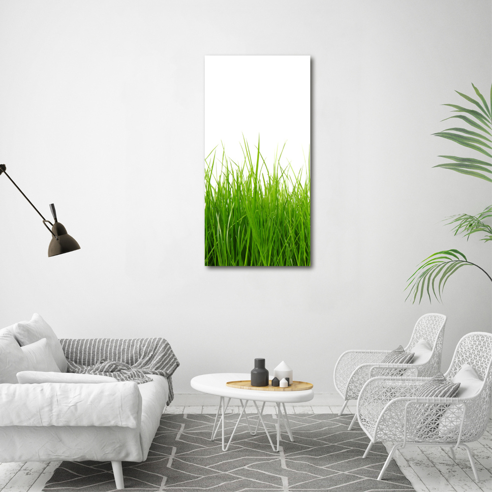 Tableau mural sur toile Herbe verte