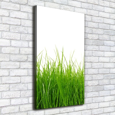 Tableau mural sur toile Herbe verte