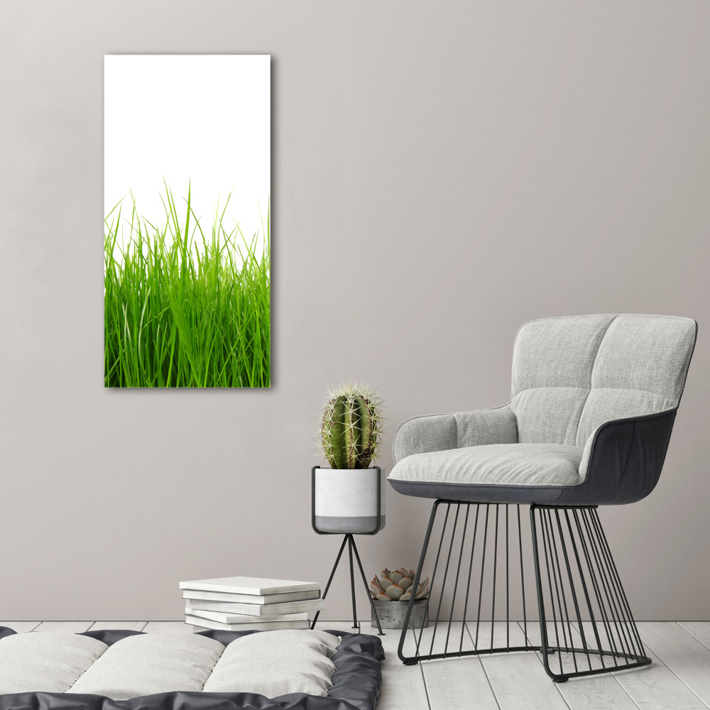 Tableau mural sur toile Herbe verte