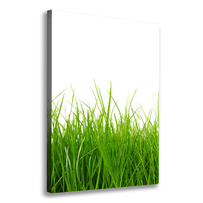 Tableau mural sur toile Herbe verte