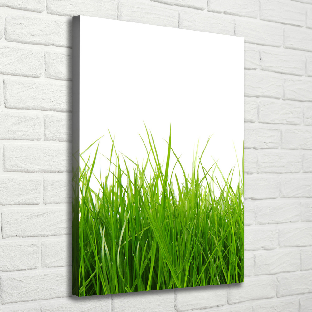 Tableau mural sur toile Herbe verte