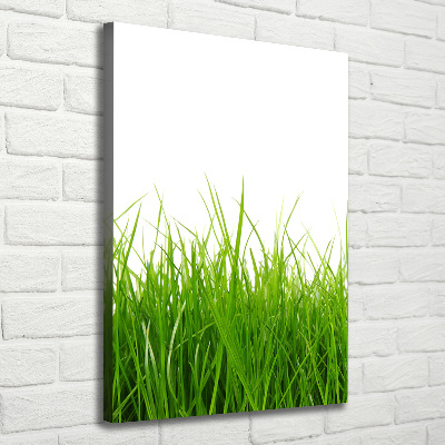 Tableau mural sur toile Herbe verte