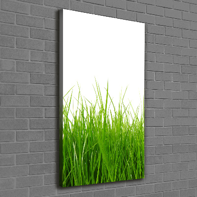 Tableau mural sur toile Herbe verte