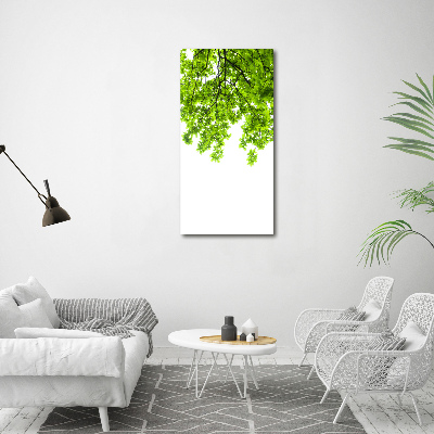 Tableau photo sur toile Couronne d'arbres