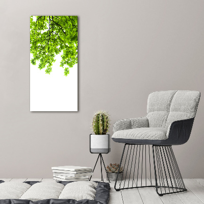 Tableau photo sur toile Couronne d'arbres