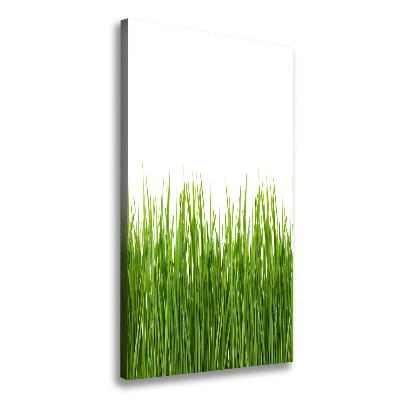 Tableau sur toile Herbe verte