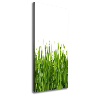 Tableau sur toile Herbe verte