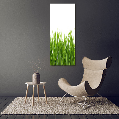 Tableau sur toile Herbe verte