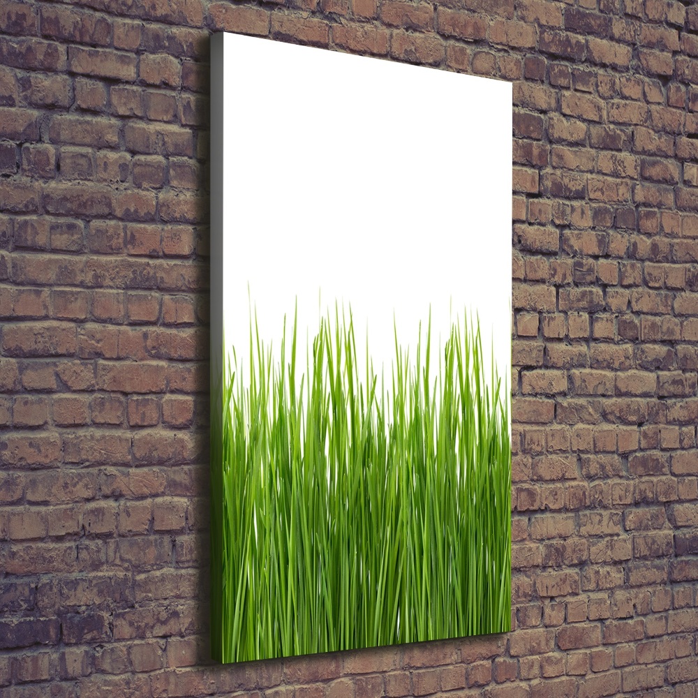 Tableau sur toile Herbe verte