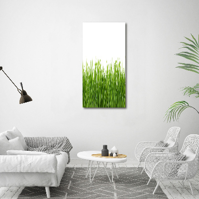 Tableau sur toile Herbe verte